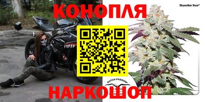 Альфа ПВП Нальчик