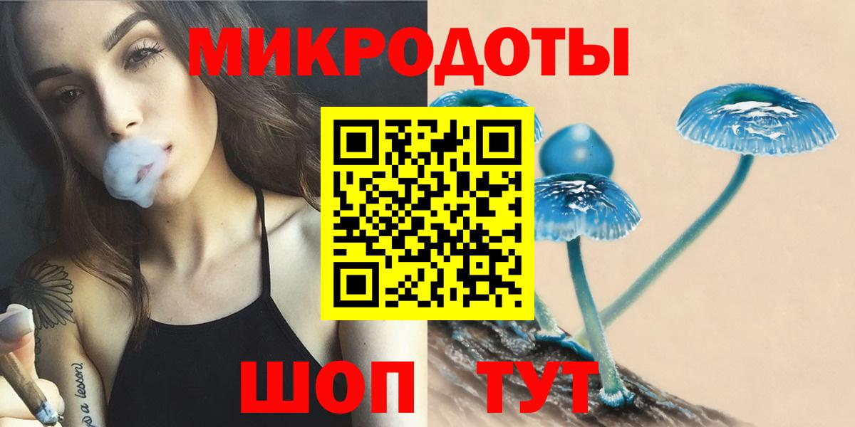 Псилоцибиновые грибы Psilocybe Губкинский
